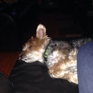 Meet your Posher, Diane